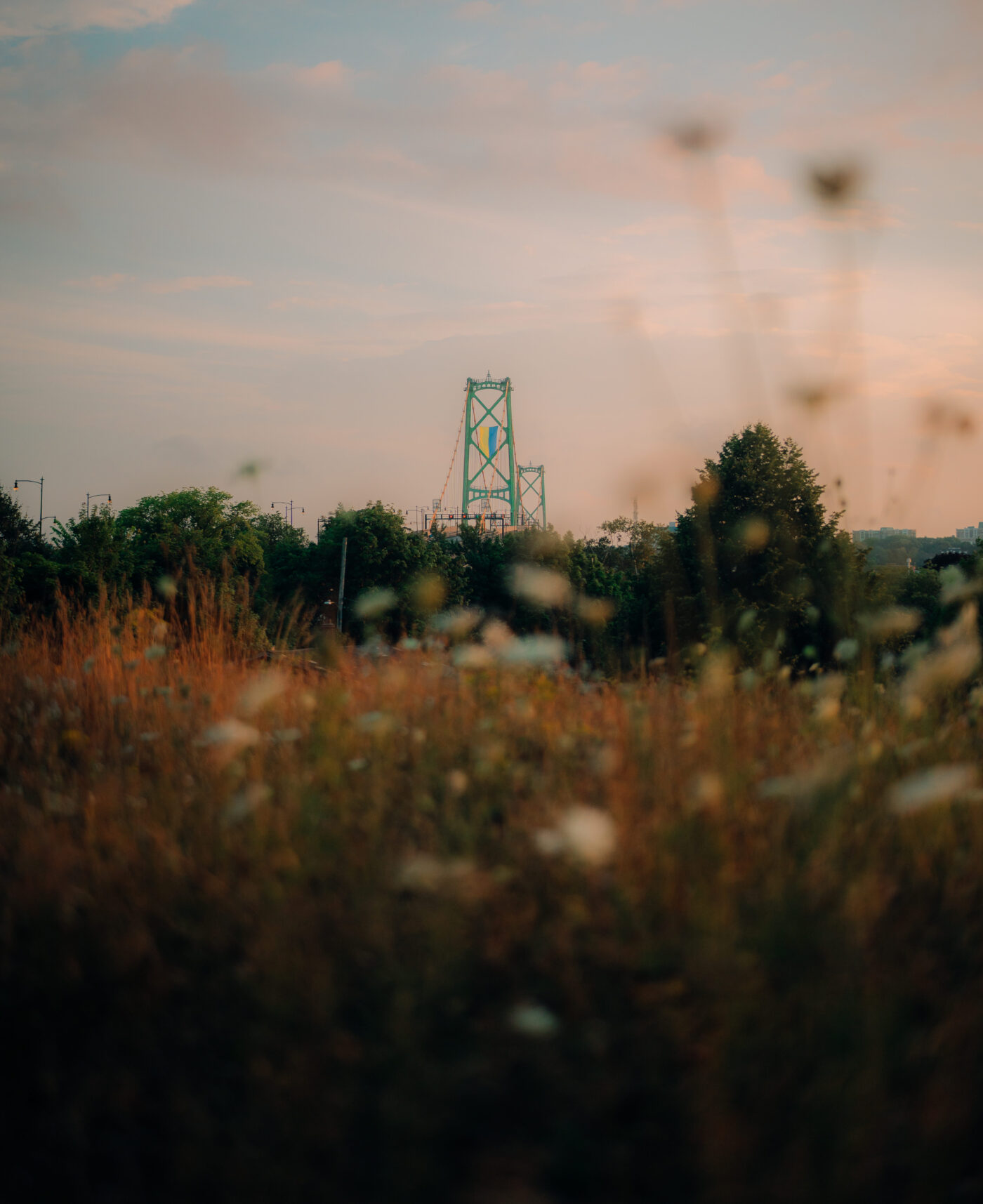 Tune it all out with the sounds of daily life in Halifax. hero image