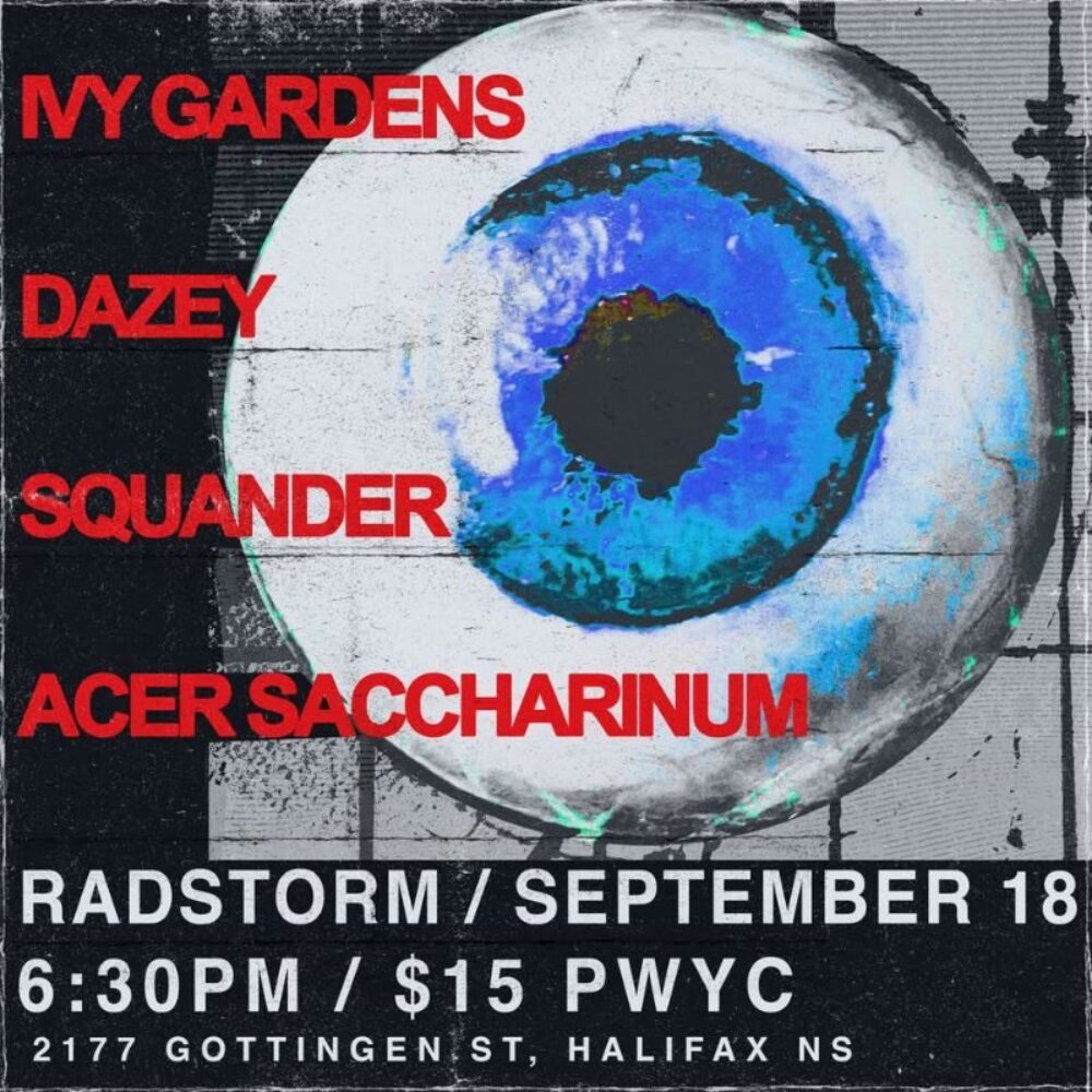 IVY GARDENS / DAZEY / SQUANDER / ACER SECCHARINUM image