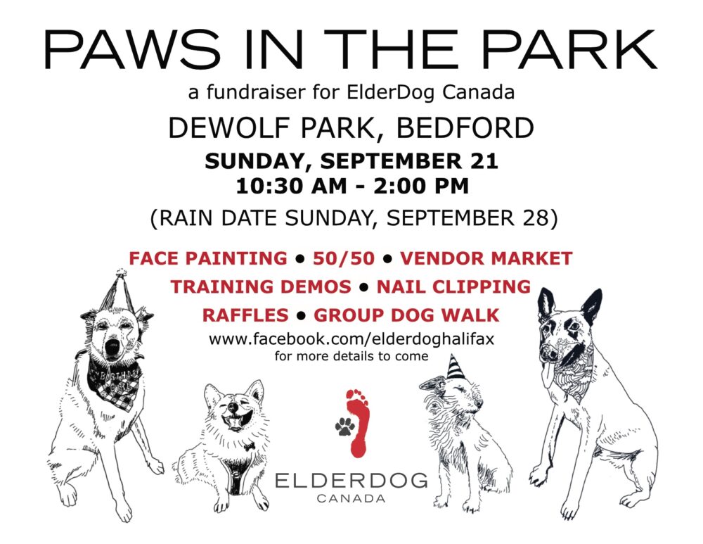 Paws in the Park image