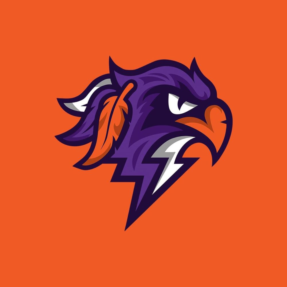 Halifax Thunderbirds vs. Buffalo Bandits image