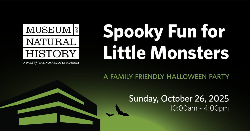 Spooky Fun for Little Monsters image