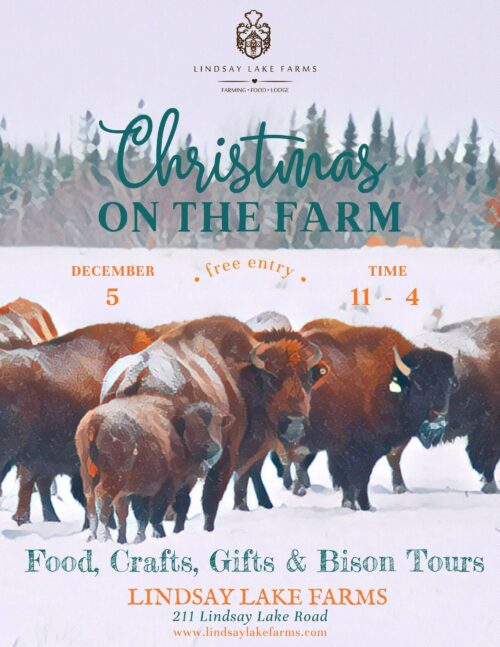 Christmas on the Farm image