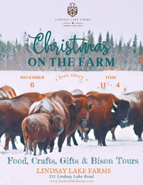 Christmas on the Farm image