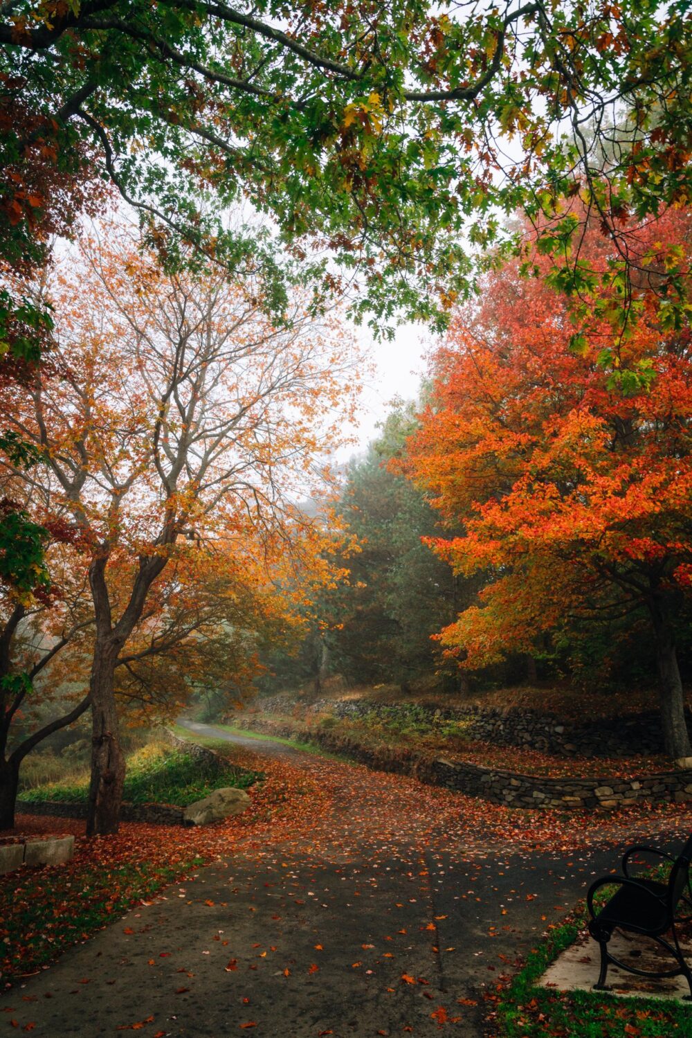 Homepage mobile hero image