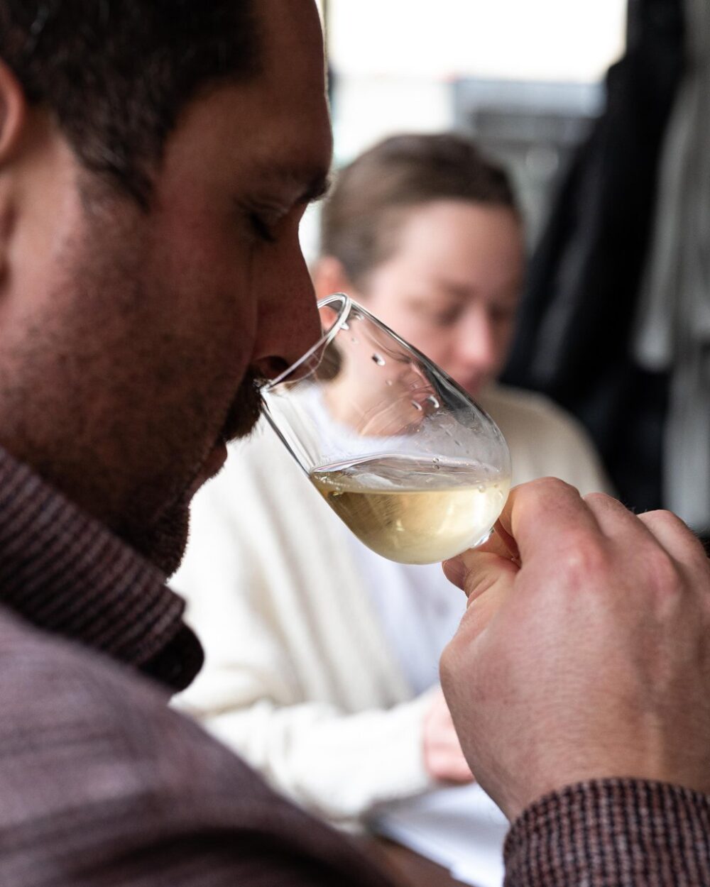 The Wines of France: Rhone, Provence, Languedoc & Corsica! image