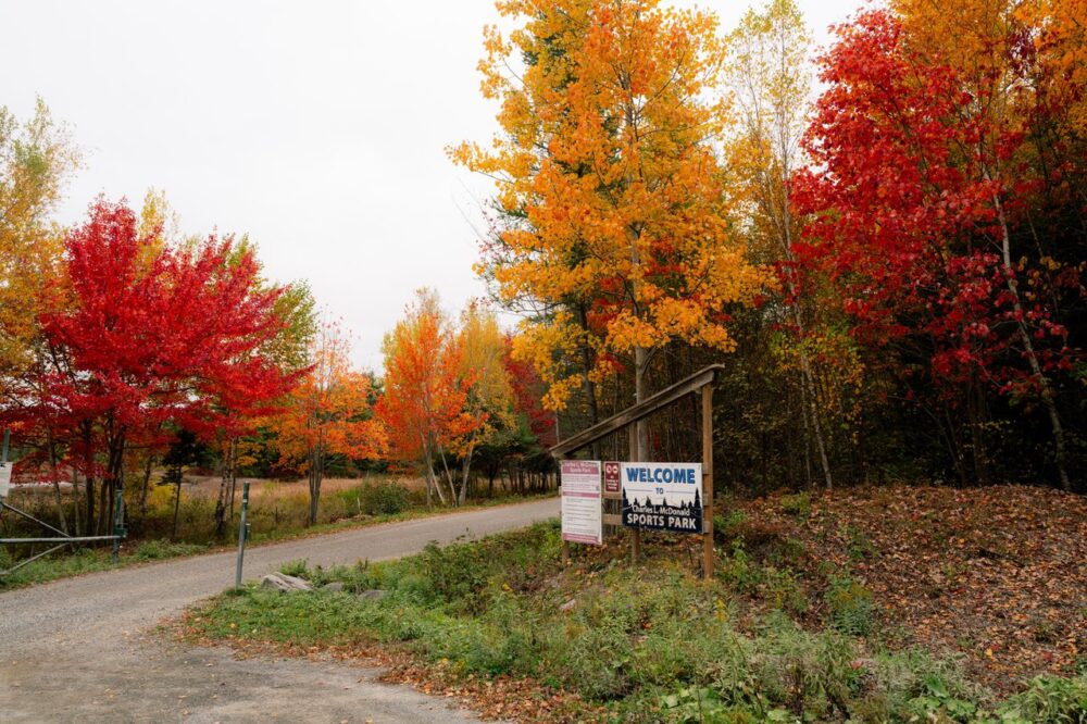 Charles L. McDonald Sports Park Trails image