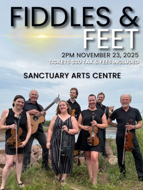 Fiddles and Feet live at The Sanctuary Arts Centre image
