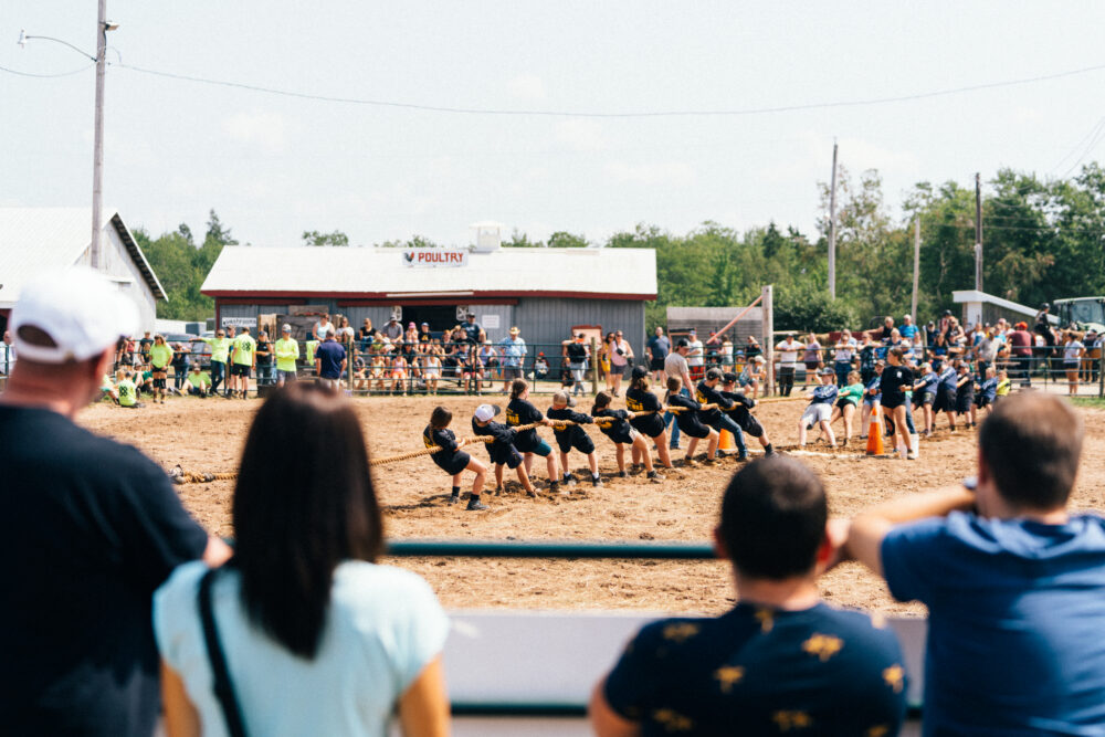 Halifax County Exhibition Grounds image