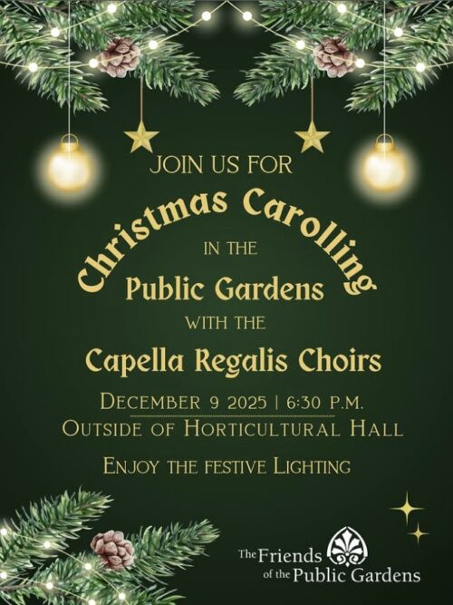 Christmas Carolling in the Public Gardens image