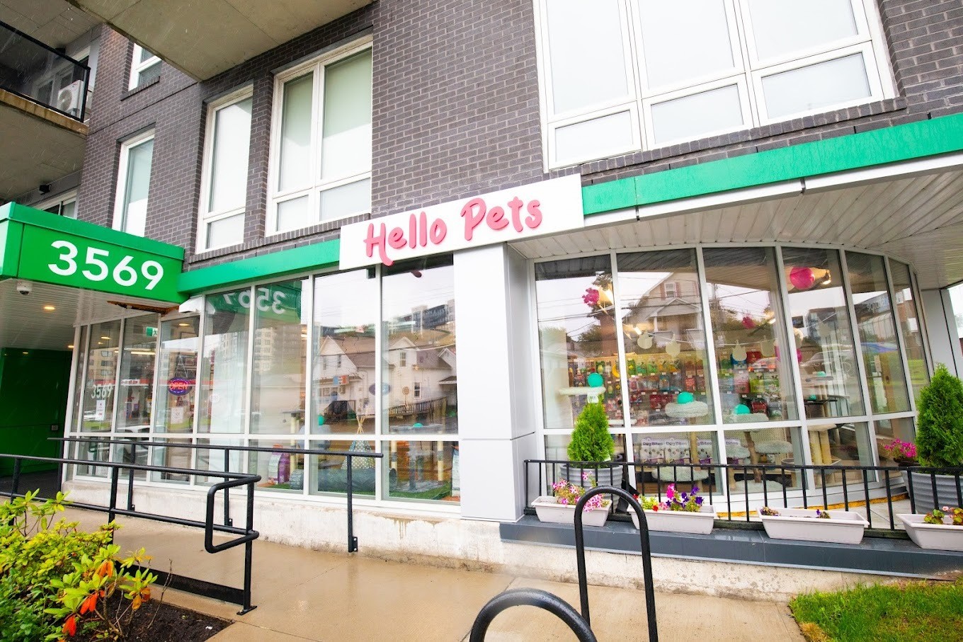 Hello Pets - Discover Halifax