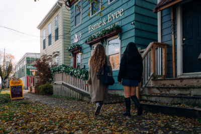 Vintage Shows and Shops image