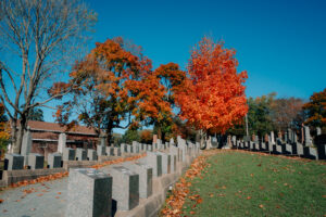 Uncover the Titanic’s Halifax Connection image