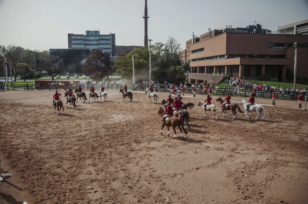 Halifax Lancers image