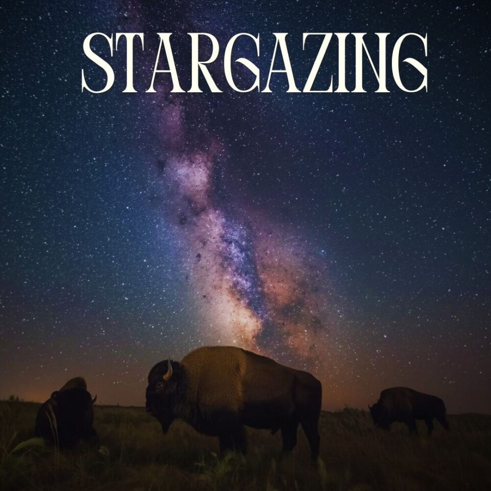 Spring Equinox Stargazing & Bison Tour image