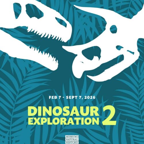 Dinosaur Exploration 2 image