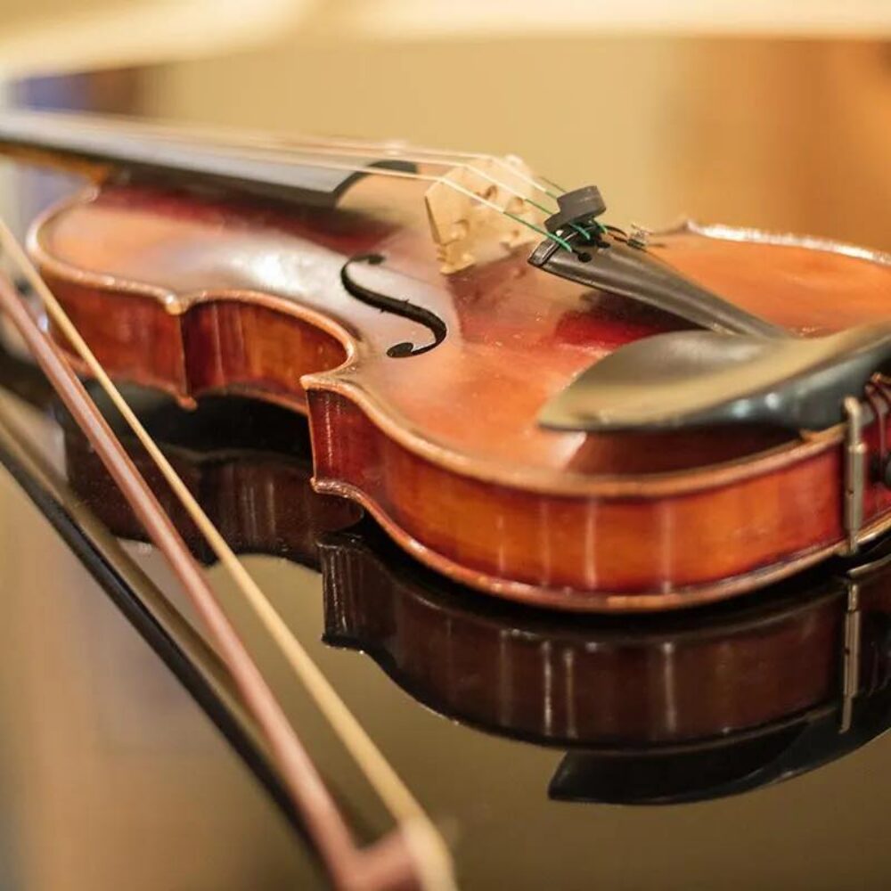 Nova Sinfonia Orchestral Society image