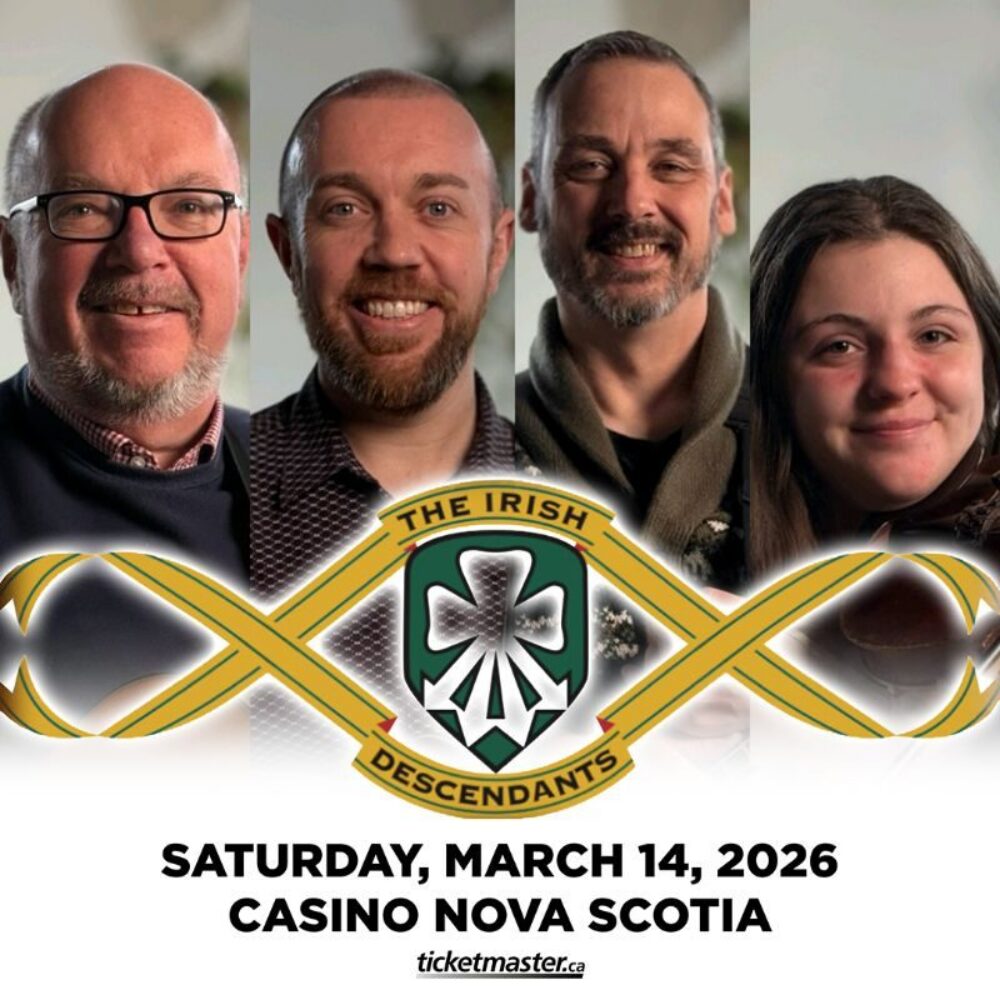 The Irish Descendants image