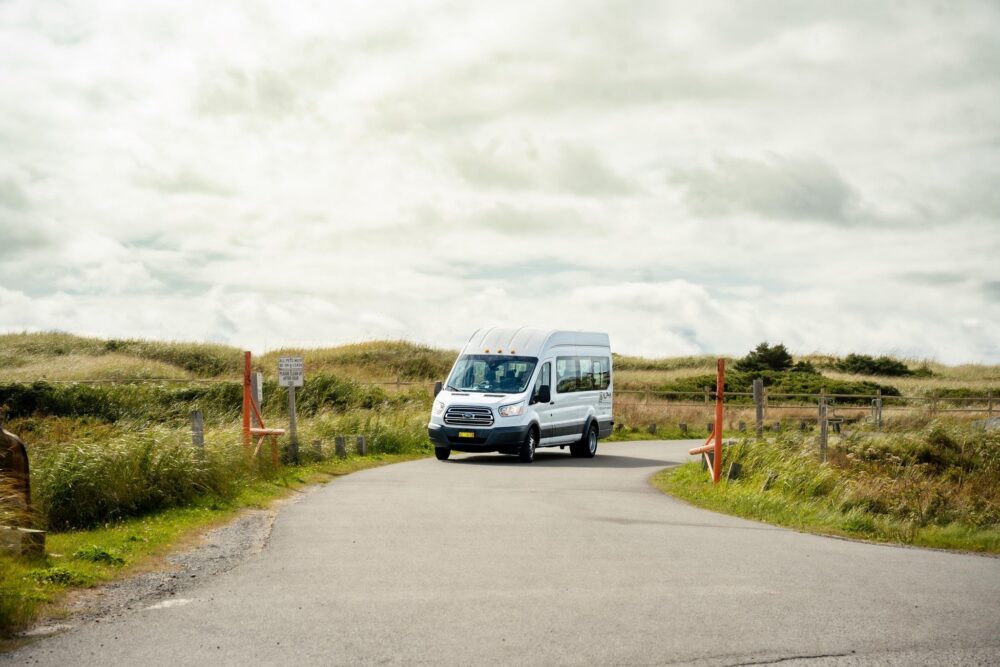 Alpha Travel & Tours image