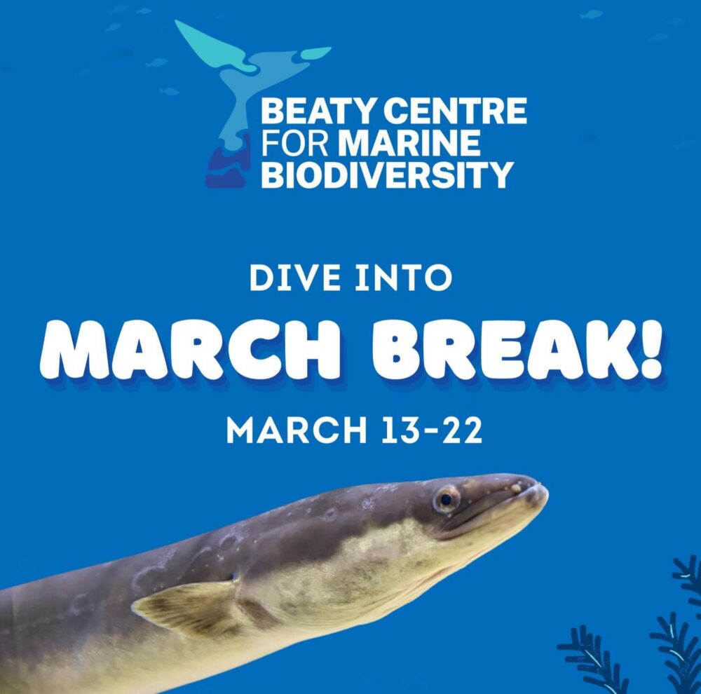 March Break at Beaty Centre for Marine Biodiversity image