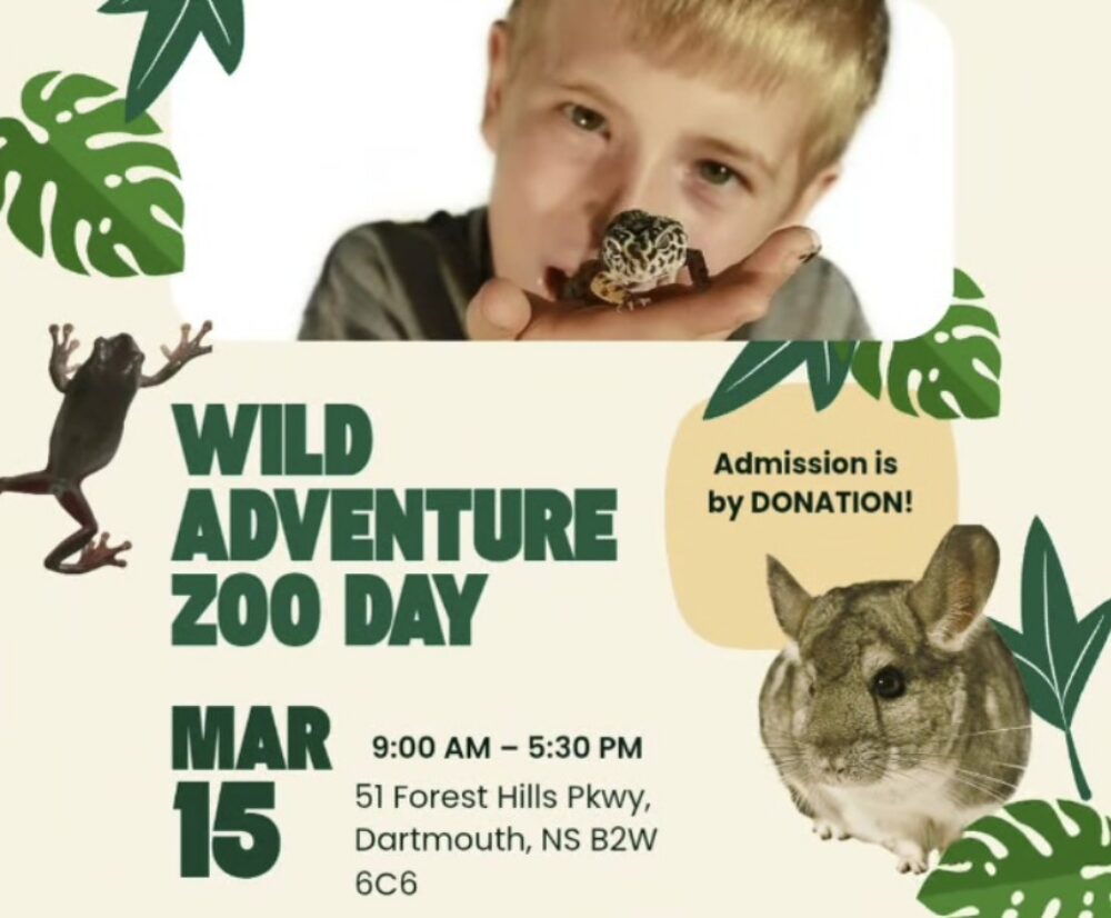 Zoo Day Adventure! image