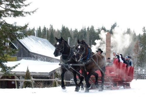 Hatfield Farm March Break Family Round-UP image