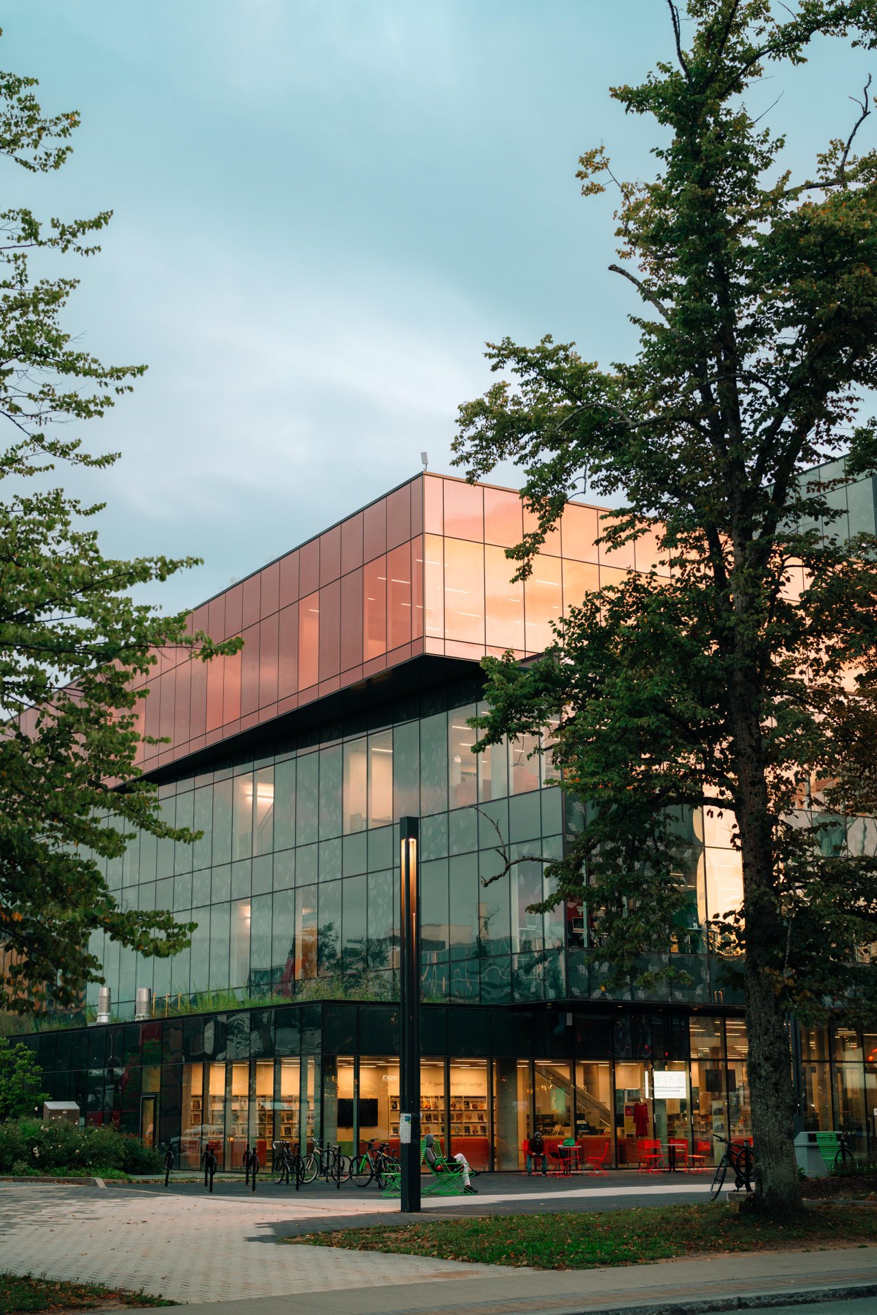 Profile Photo 2 (for gallery, max 5MB)