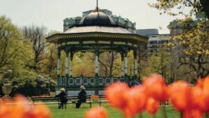 Explore the Halifax Public Gardens image