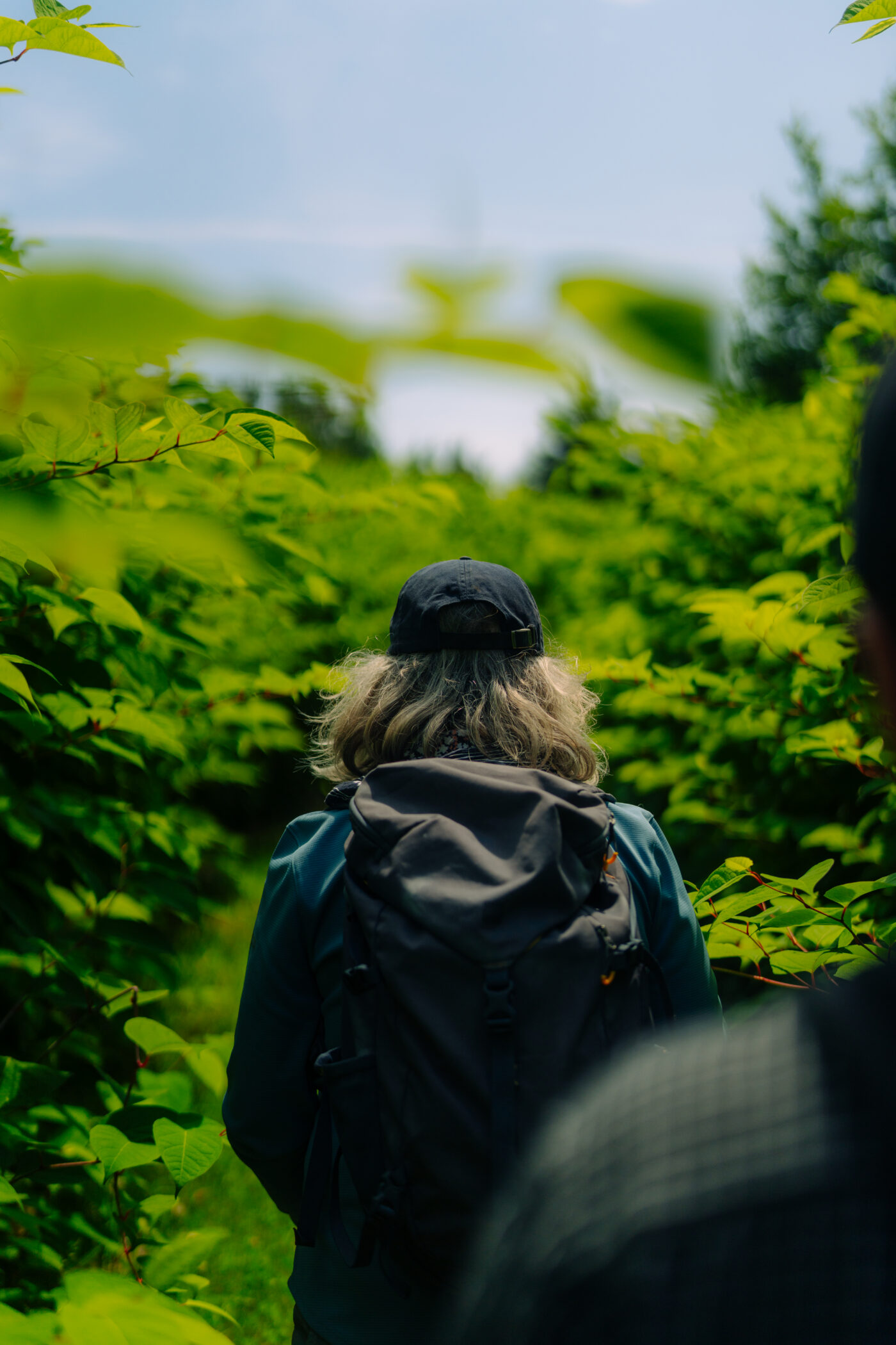 Travel thoughtfully hero image