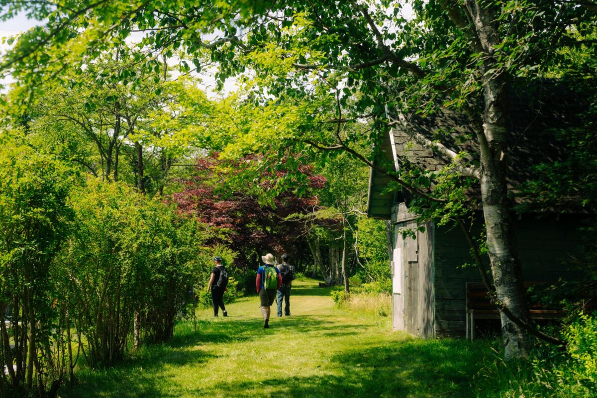 Hikers walking along a tree-lined trail on McNabs Island near Halifax, Nova Scotia, passing a rustic wooden building in a lush green setting