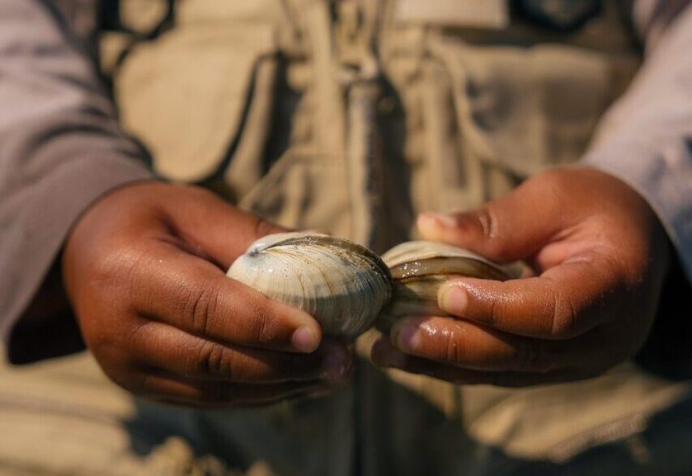 Halifax Visitor Guides quick navigation card image