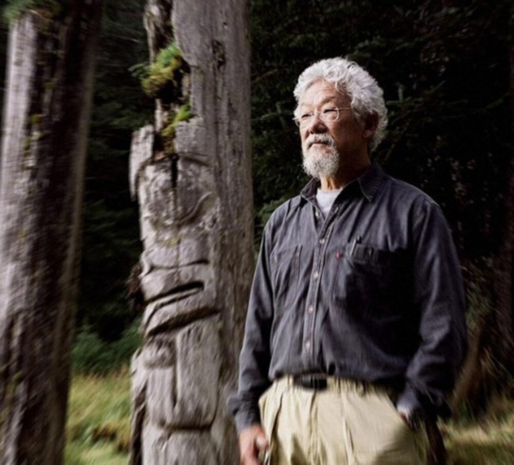 Force of Nature: The David Suzuki Movie image