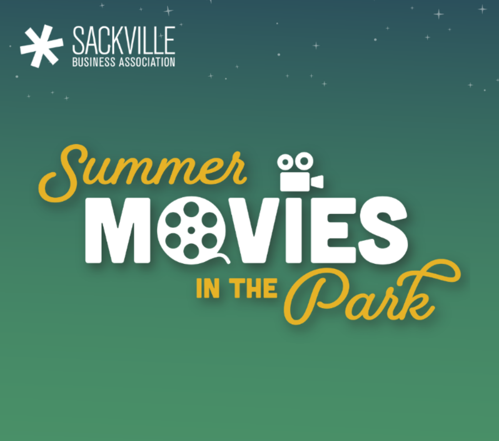 Summer Movie in the Park: Space Jam image