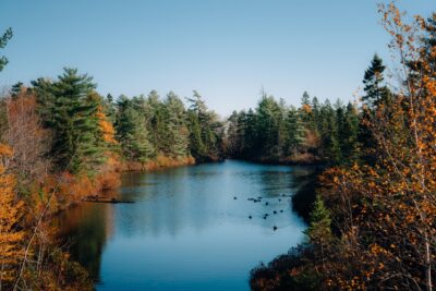 Carbon Footprint Calculator image