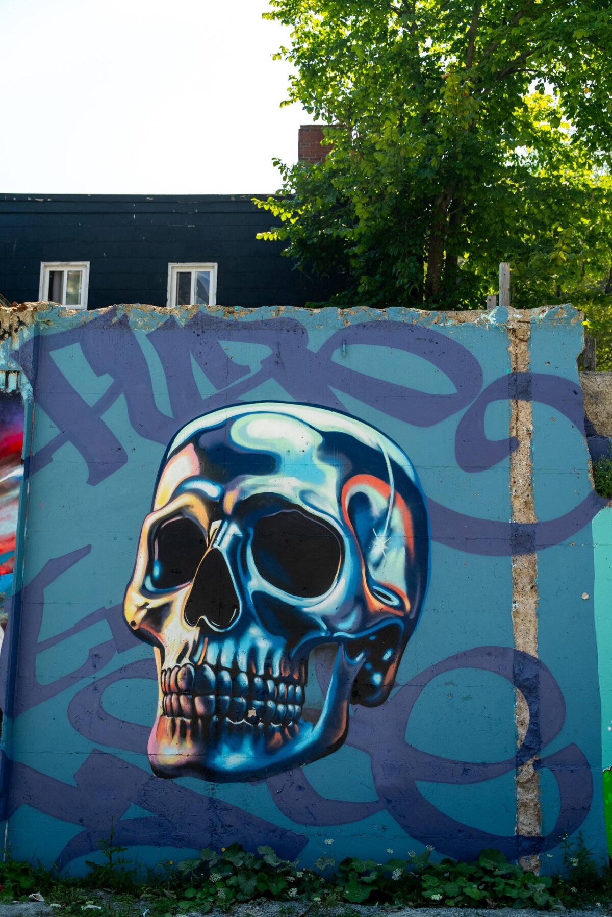 A vivid mural of a stylized skull with reflective blue and metallic tones, set against a teal background with abstract purple graffiti lettering.