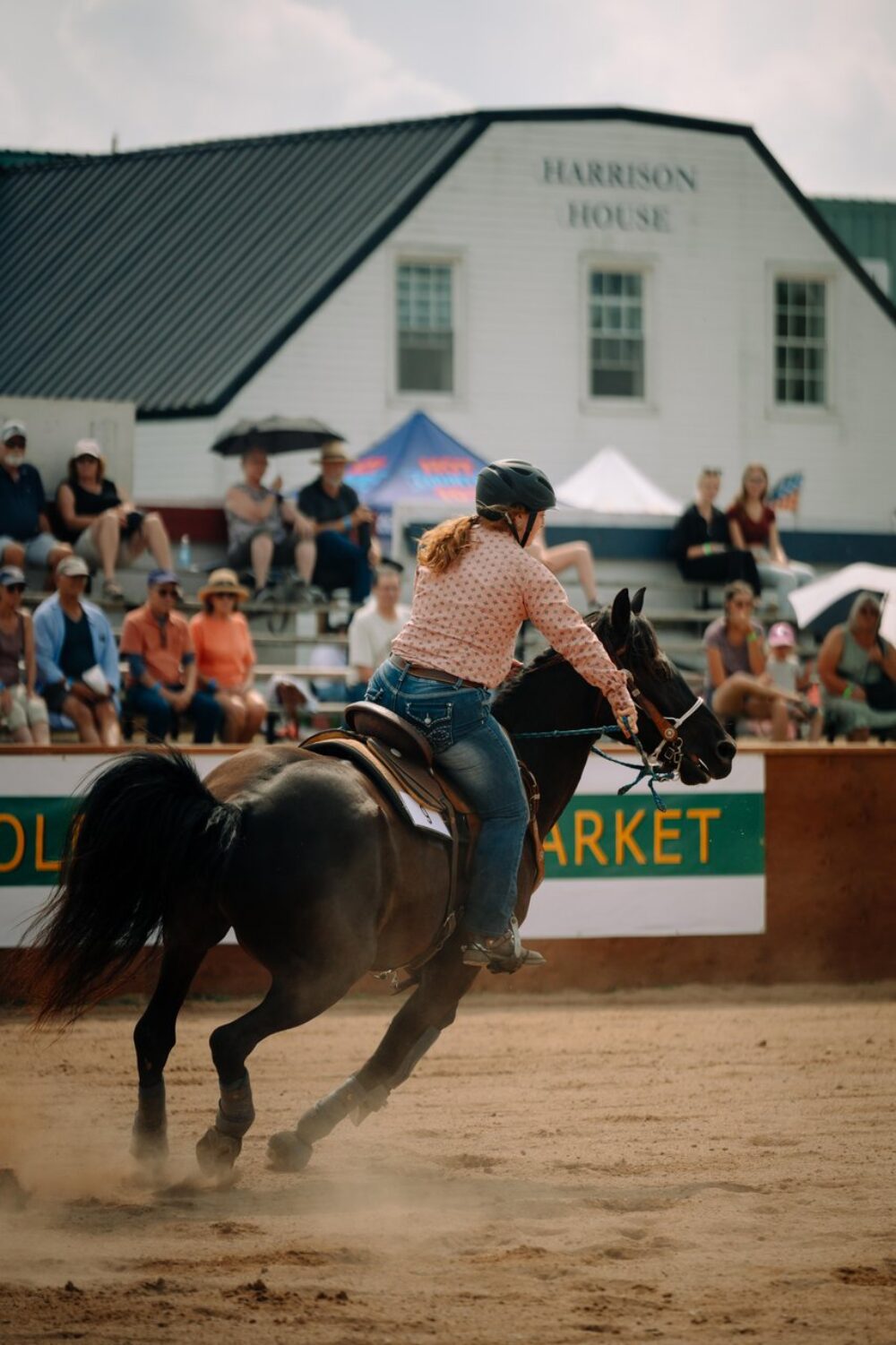 Halifax County Exhibition image