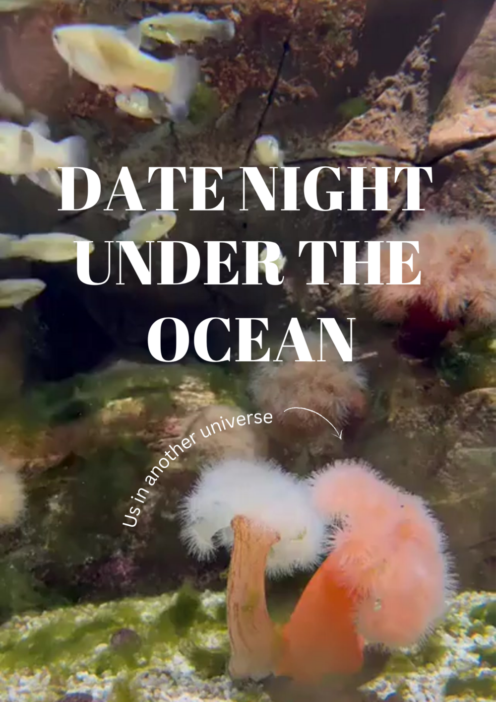 Date Night at Beaty Centre for Marine Biodiversity image