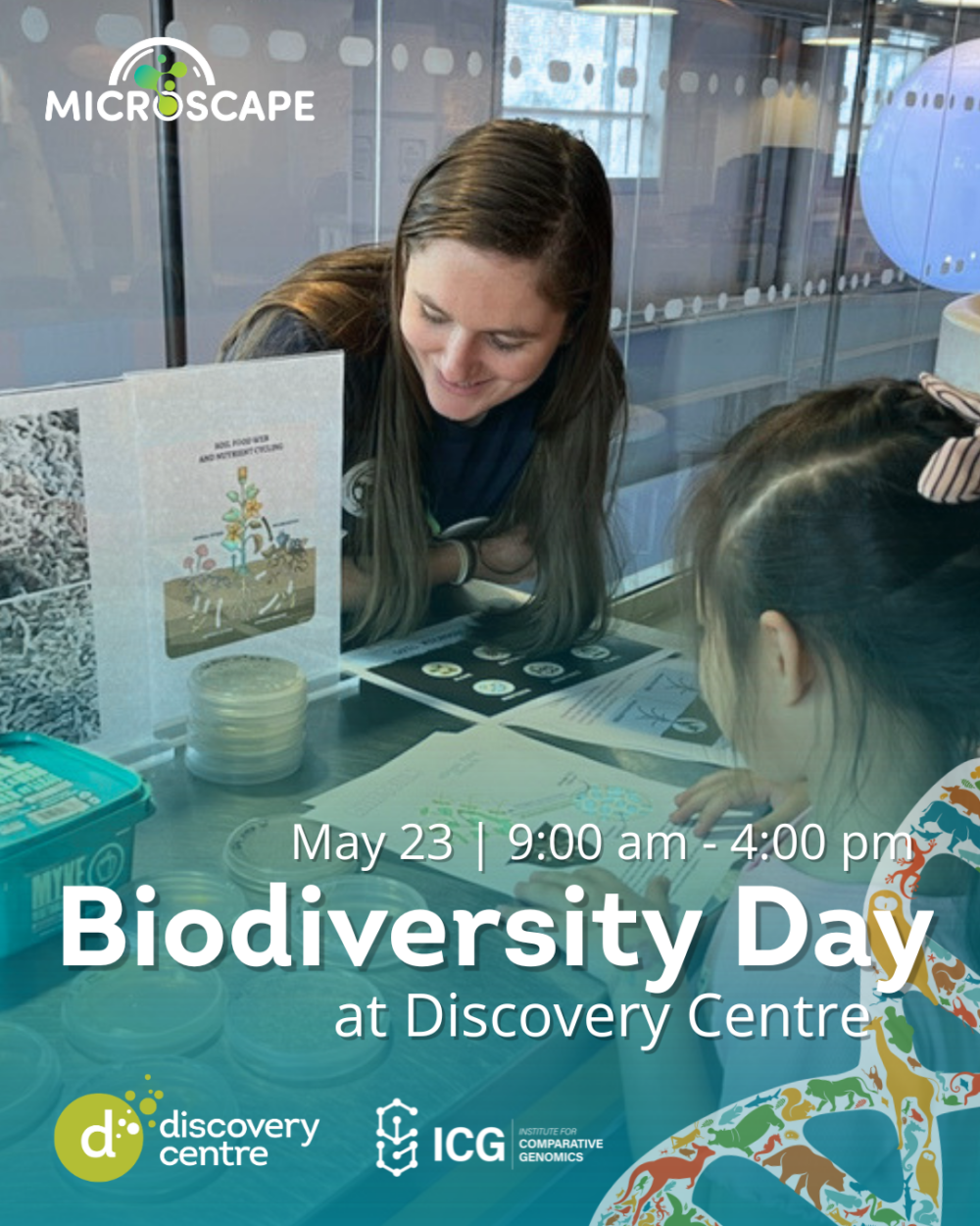 Biodiversity Day at Discovery Centre image