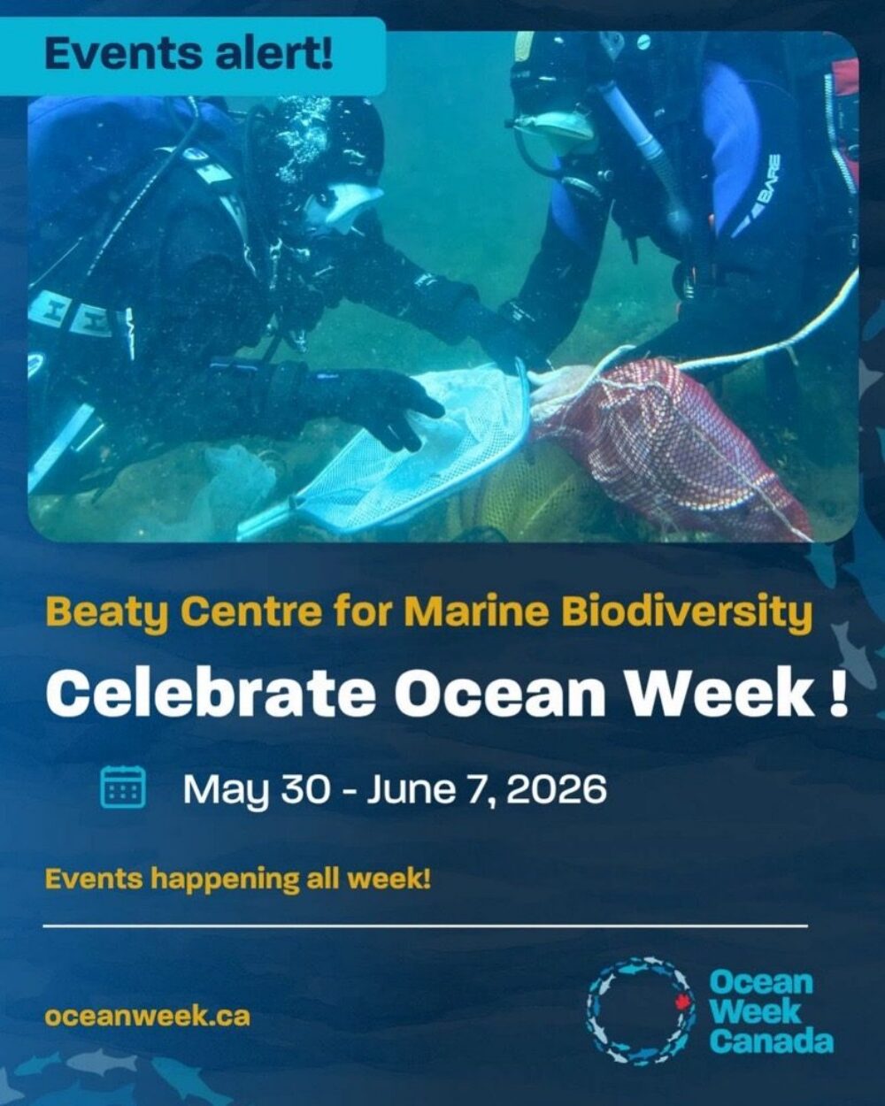 Ocean Week Celebration at Beaty Centre for Marine Biodiversity image