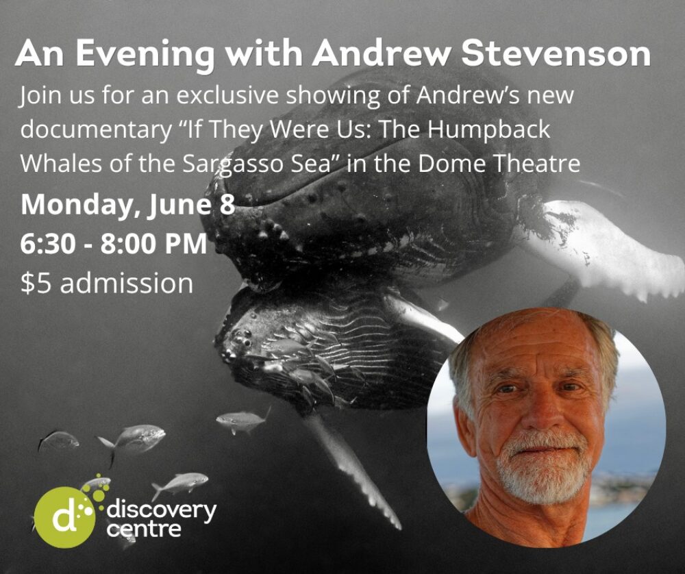 An evening with Andrew Stevenson image