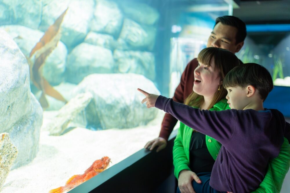 Beaty Centre for Marine Biodiversity image