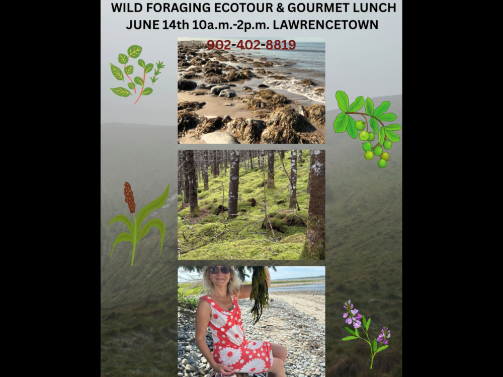Wild Foragin Ecotour with Gourmet Lunch image