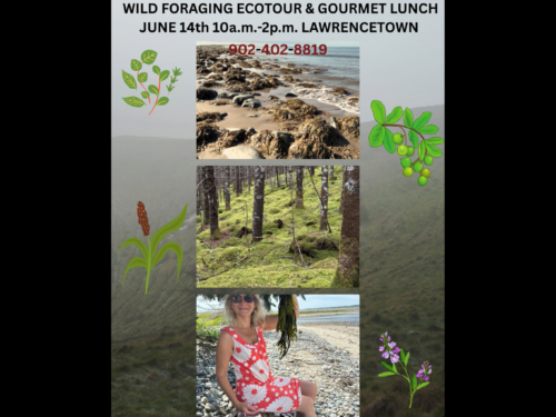 Wild Foragin Ecotour with Gourmet Lunch image