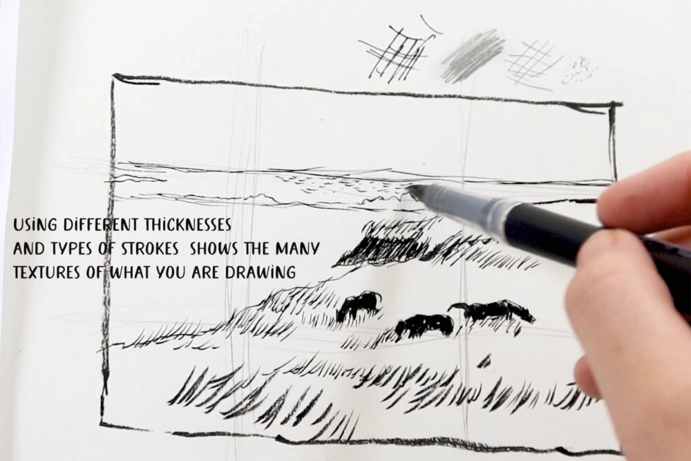 A Day of Drawing Horses in the Annapolis Valley image