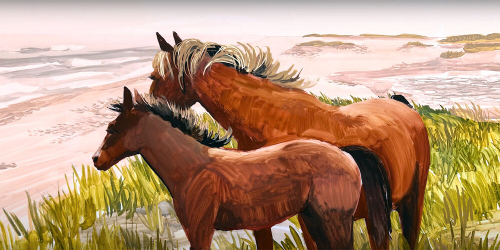 Drawing on Sable Island image