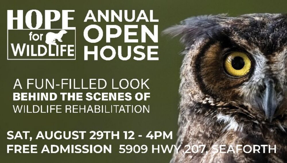 Hope for Wildlife's 2026 Annual Open House image