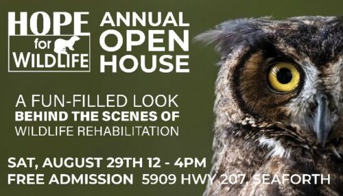 Hope for Wildlife’s 2026 Annual Open House image