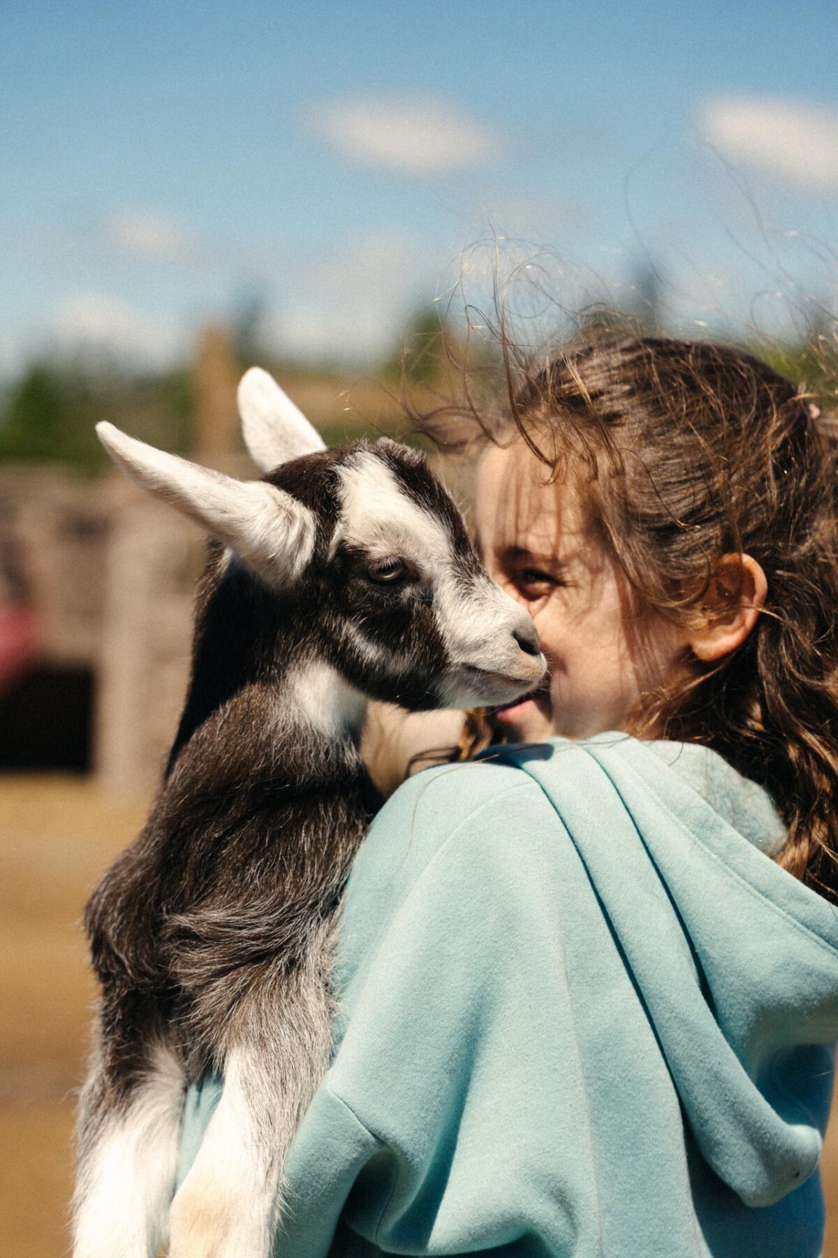 Child cuddling a baby goat at Ataraxy Farm.