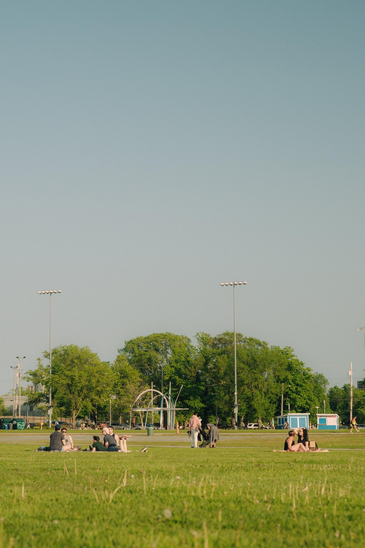 People sitting on the grass of the Halifax Common