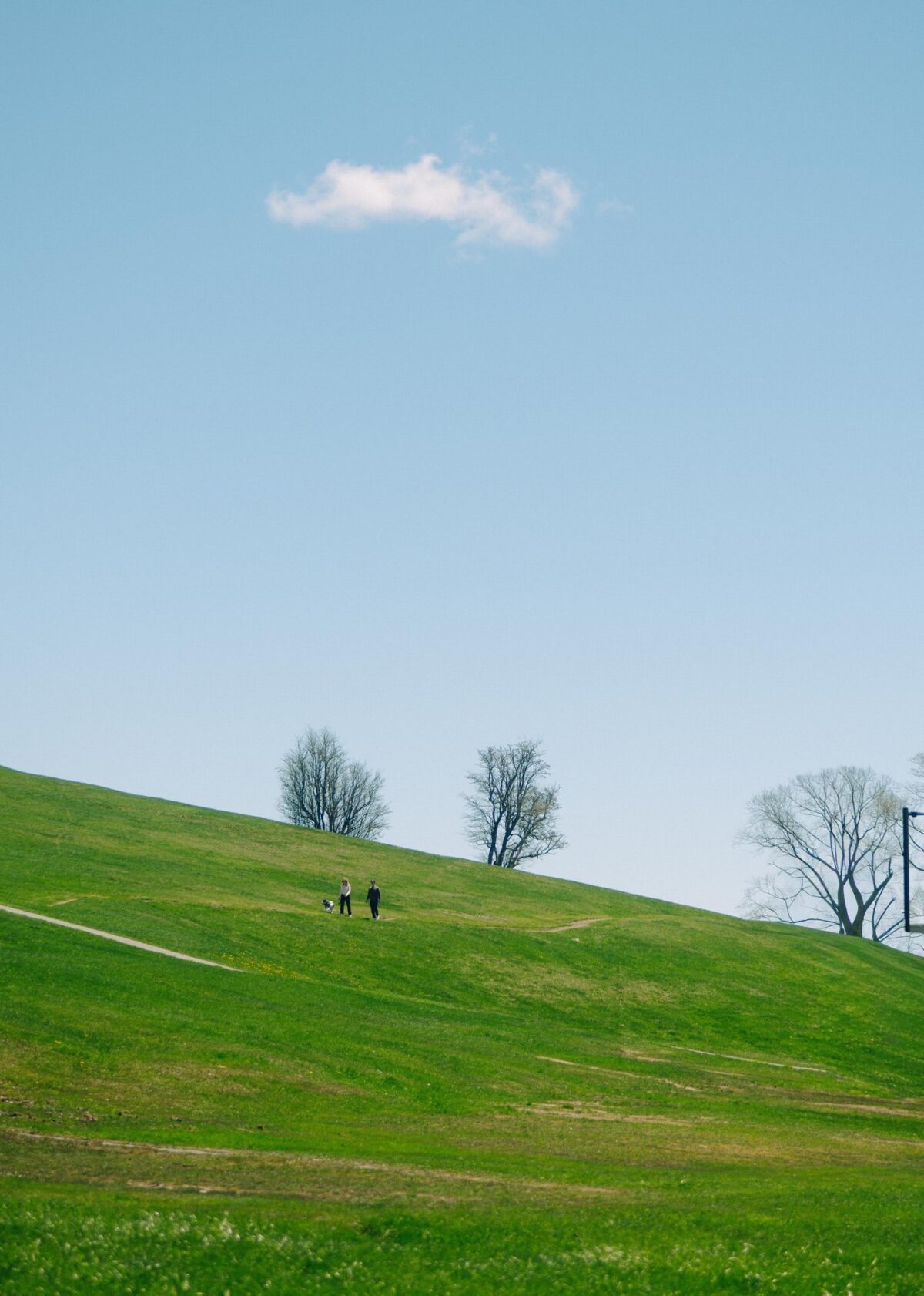 People walking down Citadel Hill with a dog in Downtown Halifax.