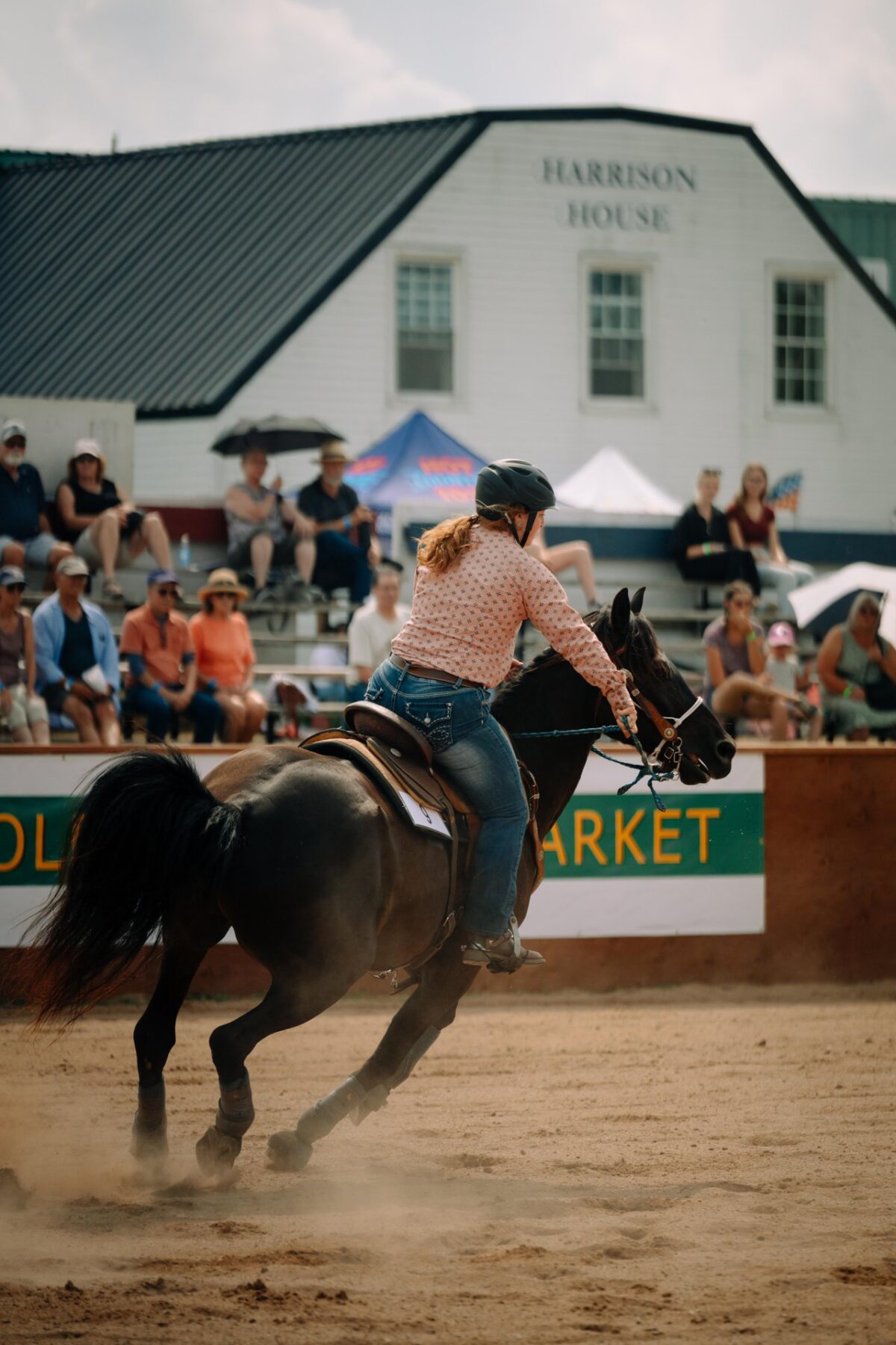 Horse and rider compete at the Halifax County Exhibition in the Musquodoboit Valley.